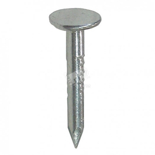 Гвоздь толевый 2.5х32 (500г)