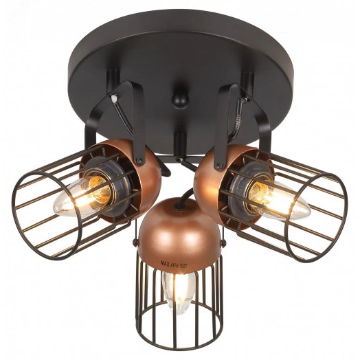 Светильник настенно-потолочный спот Rivoli Anemon 5062-733 поворотный 3 х E27 40 Вт лофт - кантри