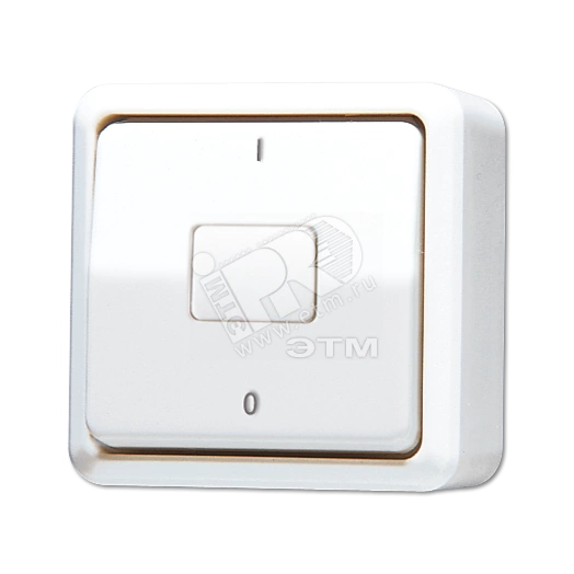 Выключатель двухполюсный накладной белый