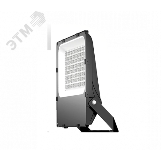 Светильник ДО-08-300-001 FLG 750