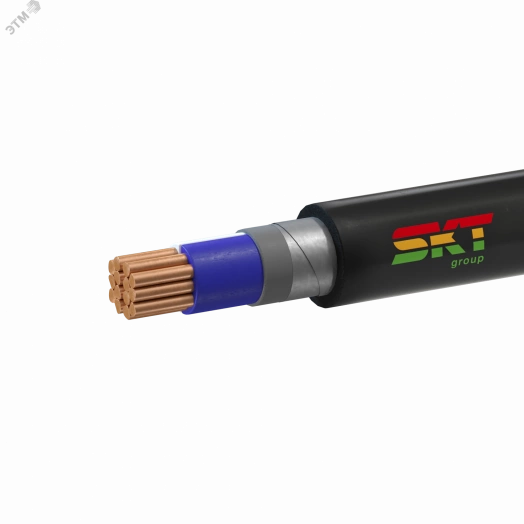 Кабель силовой ВБШвнг(А)-LS 2х70мс(N)-1 ТРТС