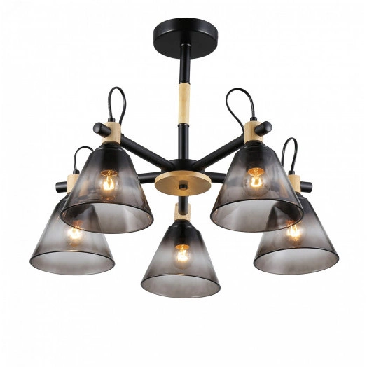 Люстра Rivoli Elmira 9117-305 5 * Е27 40 Вт модерн