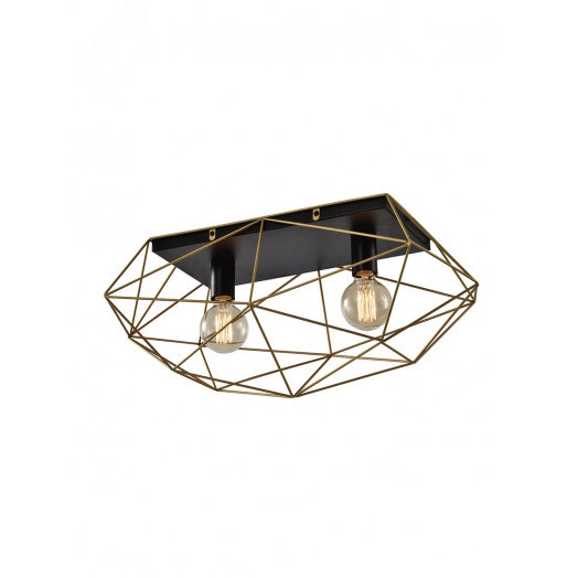 Светильник потолочный Rivoli Roxana 4097-312 2 х Е27 40 Вт дизайн для натяжных потолков