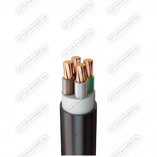 Кабель силовой ВВГнг(А) 4х50 мк(N)-1