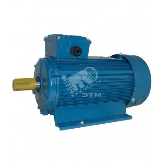 Электродвигатель 5АИ 90 L2 3/3000 IM1081