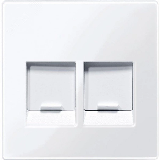 Центральная плата для модулей штепсельных разъемов 2 поста со шторками белый