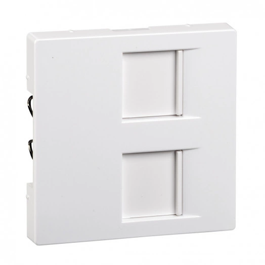 Центральная плата для модулей штепсельных разъемов 2 поста со шторками белый