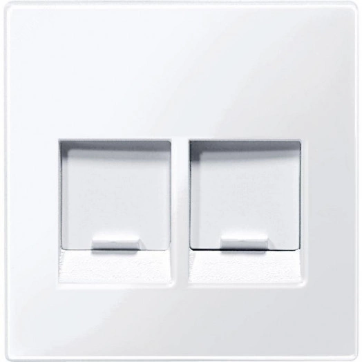 Центральная плата для модулей штепсельных разъемов 2 поста со шторками белый