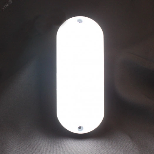 Светильник СПЕЦСВЕТ-А ДПО 03-012-004 6500К1000Лм IP65 овал малый ГИ  накладной