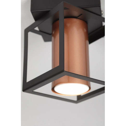 Светильник потолочный Rivoli Raffaela 5082-201 1 * GU10 25 Вт накладной для натяжных потолков лофт - кантри