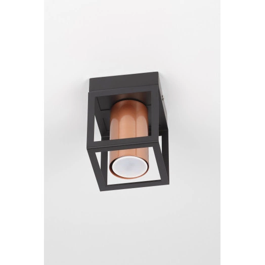 Светильник потолочный Rivoli Raffaela 5082-201 1 * GU10 25 Вт накладной для натяжных потолков лофт - кантри