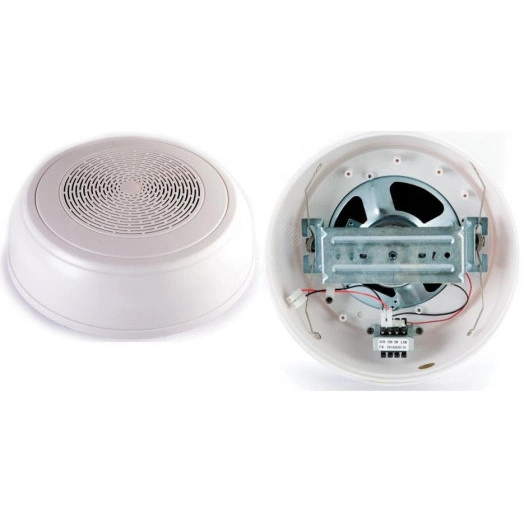 Громкоговоритель настенный WP-10T