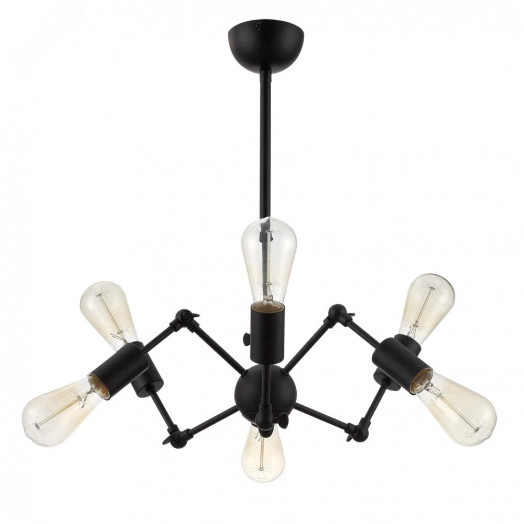 Люстра Arte Lamp ROOTS A9190LM-6BK