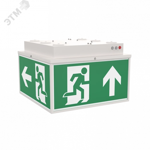 Светильник светодиодный ДПО-6Вт IP20/IP65 Лм Quad EM Teletest белый