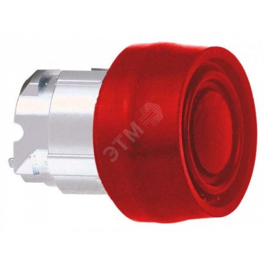 Головка кнопки