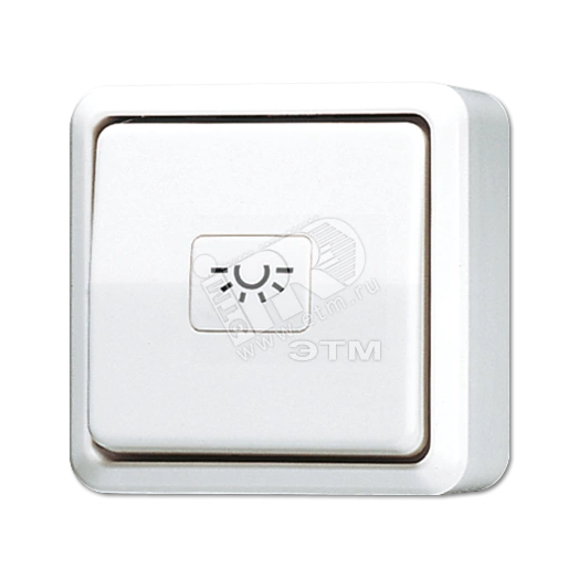 Кнопка 10A 250V ~  для накладного монтажа