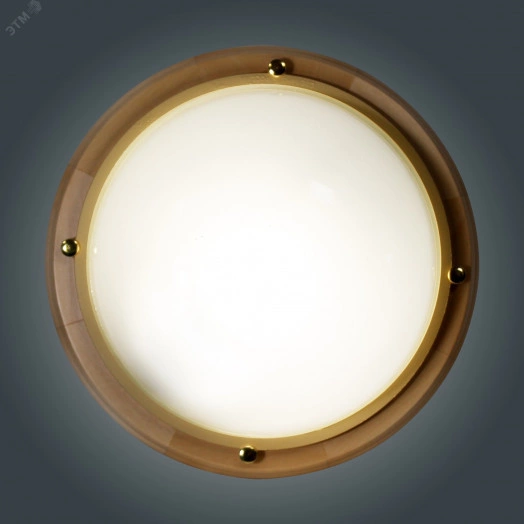 Светильник НББ-03-100-009 IP65 Терма 1101 Круг большой матовый корпус  липа индивидуальная упаковка