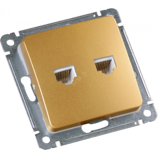 MASTER Розетка компьютерная на два присоединения, скрытой установки, в рамку, золото