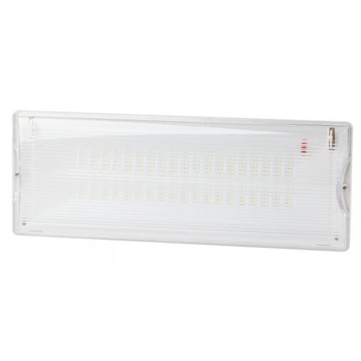 Светильник светодиодный DPA-301-0-65 40LED 3ч IP65 аварийный непостоянный Эра Б0044405