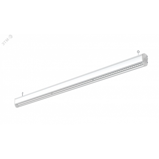 Светильник LED L-trade II 65 55Вт Г30 5000К прозрачный рассеиватель IP66 накладной