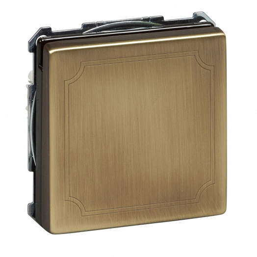 Розетка с крышкой в рамку античная латунь SCHUKO