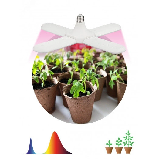 Фитолампа для растений светодиодная FITO-36W-RB-E27-FOLD 4-х лепестковая красно-синего спектра 36 Вт Е27 ЭРА