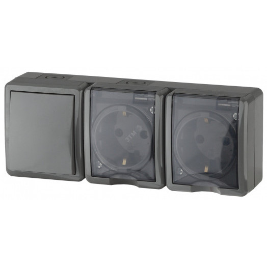 Блок две розетки+выключатель IP54, 16A(10AX)-250В, ОУ, Эра Эксперт, серый, 11-7403-03