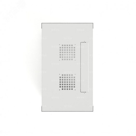 Шкаф настенный телекоммуникационный NTSS WS 9U 600х450х500мм, 2 профиля 19, дверь сплошная металл, боковые стенки съемные, разобранный, серый RAL 7035