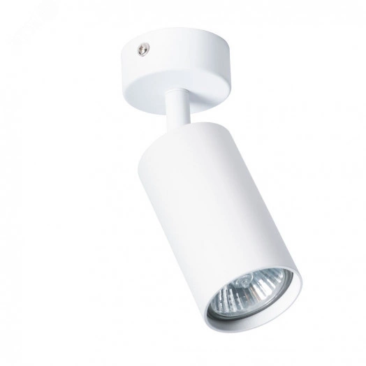 Светильник Arte Lamp AQUARIUS A3216PL-1WH