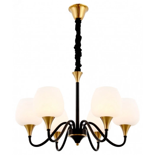 Люстра  Rivoli Emarita 2049-206 6 х Е27 40 Вт классика