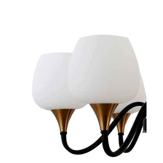 Люстра  Rivoli Emarita 2049-206 6 х Е27 40 Вт классика