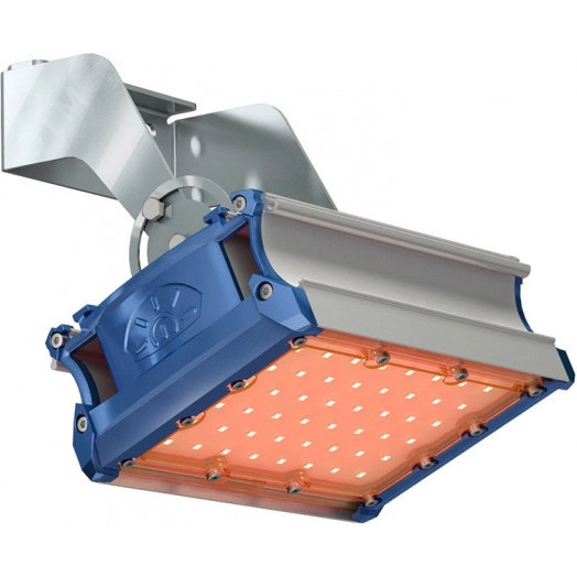 Светильник светодиодный ДБУ-49W IP67 1963Лм КСС К50 FL Amber