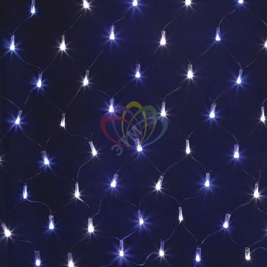 Гирлянда-сеть профессиональная светодиодная 2 х 0.7м свечение с динамикой черный провод бело/синий