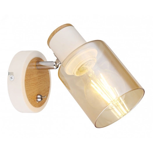 Светильник настенно-потолочный спот Rivoli Jamilly 7057-701 1 х Е27 40 Вт поворотный с выключателем