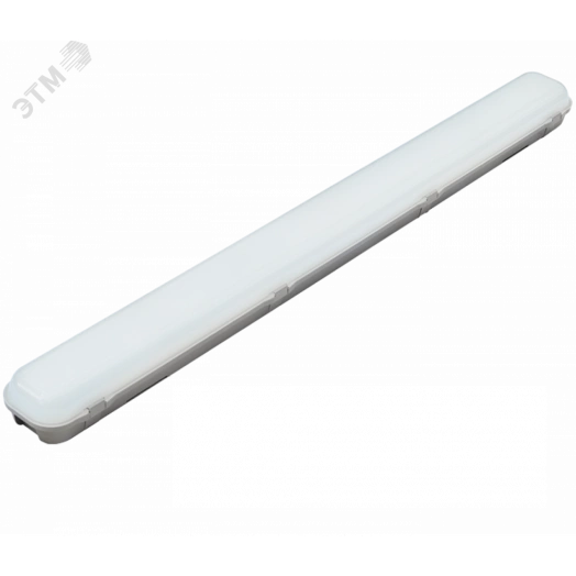 Diora LPO/LSP SE 23/3100 opal 4K A