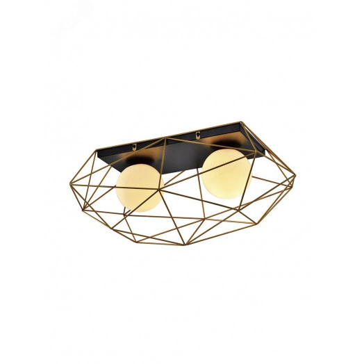 Светильник потолочный Rivoli Raila 4098-312 2 х Е14 40 Вт дизайн для натяжных потолков