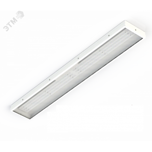 Diora NPO SE Glass 42/5000 opal 6K A