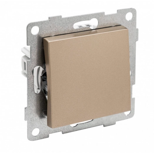 Ugra Выключатель одноклавишный, самовозвратный, скрытая установка, 10А, 250В.  шампань