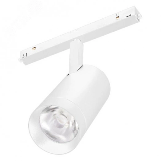 Светильник MAG-ORIENT-SPOT-R65-20W Day4000 (WH, 24 deg, 48V, DALI) (Arlight, IP20 Металл, 3 года)