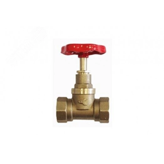 Клапан 15Б1п Ду20 А70М пар (без гайки)