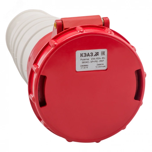 Розетка 234-63А-6h-380AC-3P+PE-IP67