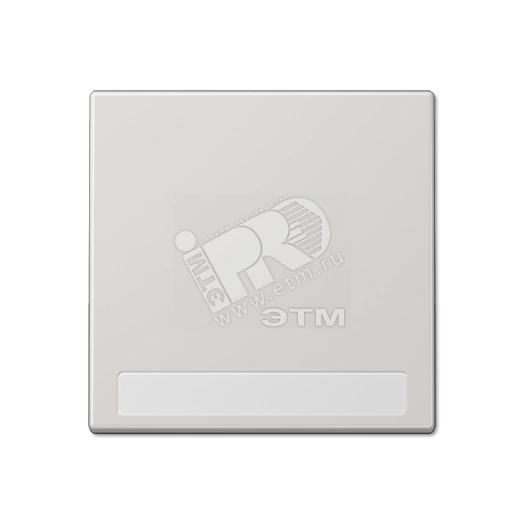 Клавиша для  выключателя с полем для надписи  светло-серая