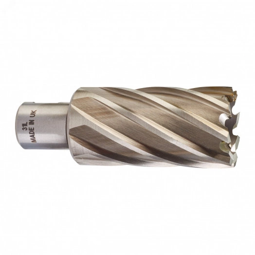 Фреза кольцевая D31х50 мм