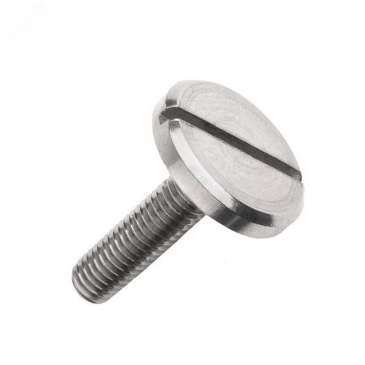 Винт М3х10 увелич. цил. гол. нерж. А1 DIN 921  (1 шт)