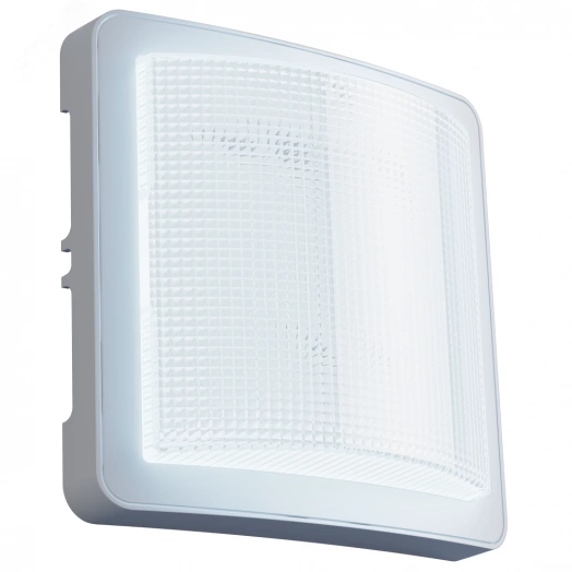 Светильник светодиодный ДБП-6w 670лм 3000K Эконом дежурный режим ЖКХ