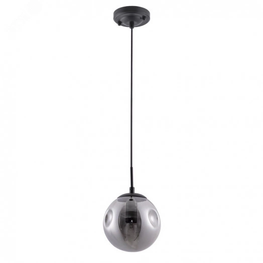 Светильник Arte Lamp TUREIS A9915SP-1BK