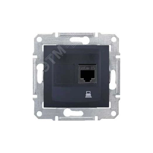 Sedna Розетка компьютерная графит