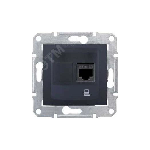 Sedna Розетка компьютерная графит