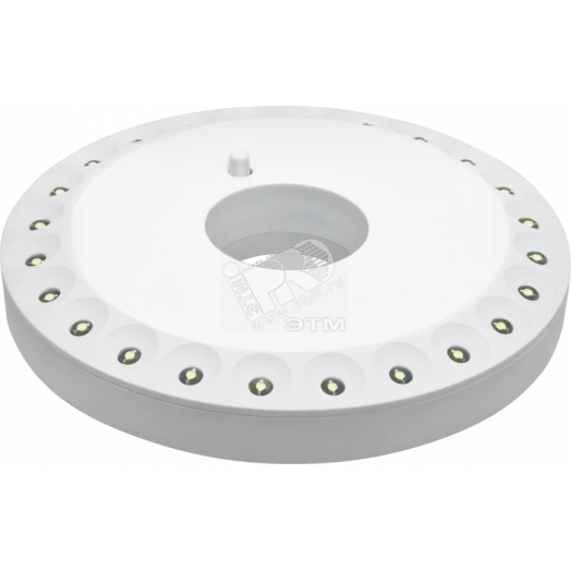 Фонарь светодиодный NPT-CA05-3AA 24LED кемпинговый пластик