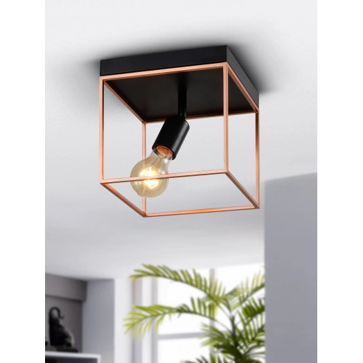 Светильник потолочный Rivoli Teresa 5085-201 1 х Е27 40 Вт лофт - кантри